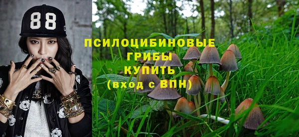 ПСИЛОЦИБИНОВЫЕ ГРИБЫ Бугульма
