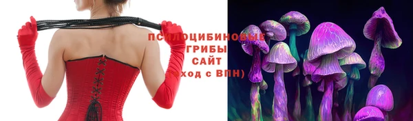 ПСИЛОЦИБИНОВЫЕ ГРИБЫ Бугульма