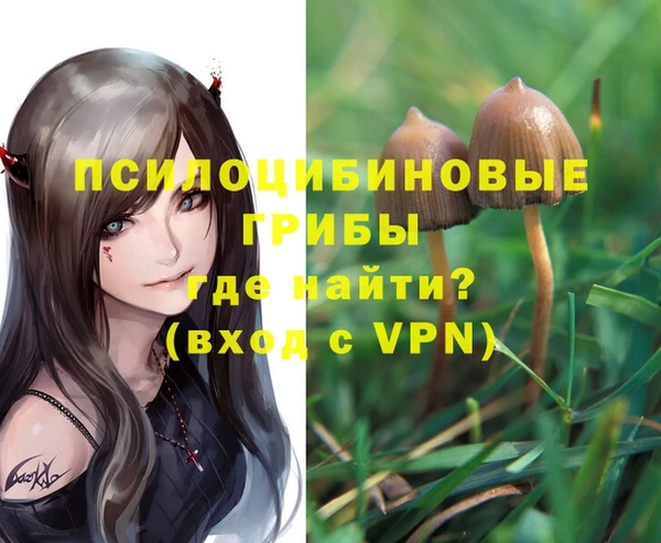 ПСИЛОЦИБИНОВЫЕ ГРИБЫ Бугульма