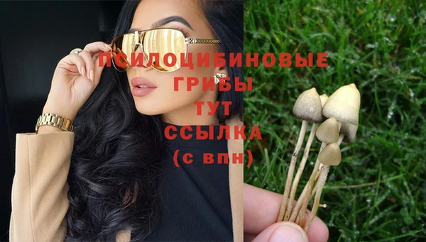 ПСИЛОЦИБИНОВЫЕ ГРИБЫ Бугульма