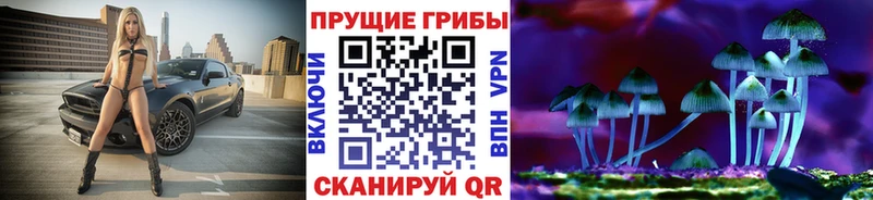 Псилоцибиновые грибы Psilocybe  купить закладку  Ессентукская 